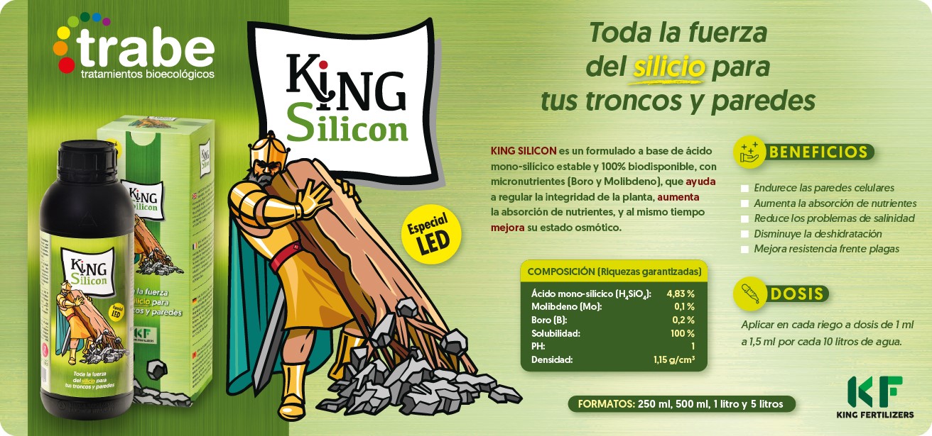 king silicon