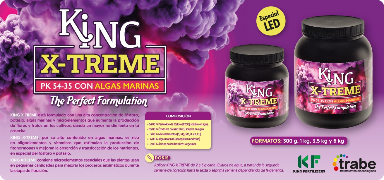 king xtreme
